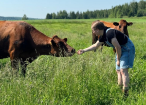 Nuori nainen tervehtii hiehoja laitumella
