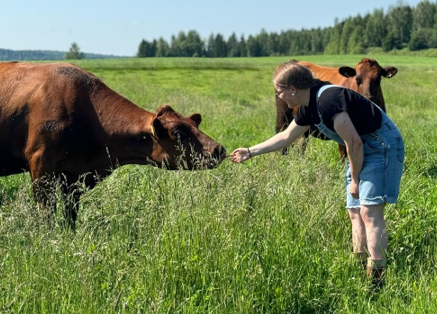 Nuori nainen tervehtii hiehoja laitumella
