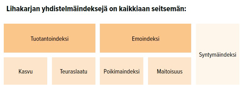 Kaavio yhdistelmäindekseistä