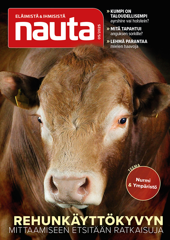 Nauta 5-2025 kansi