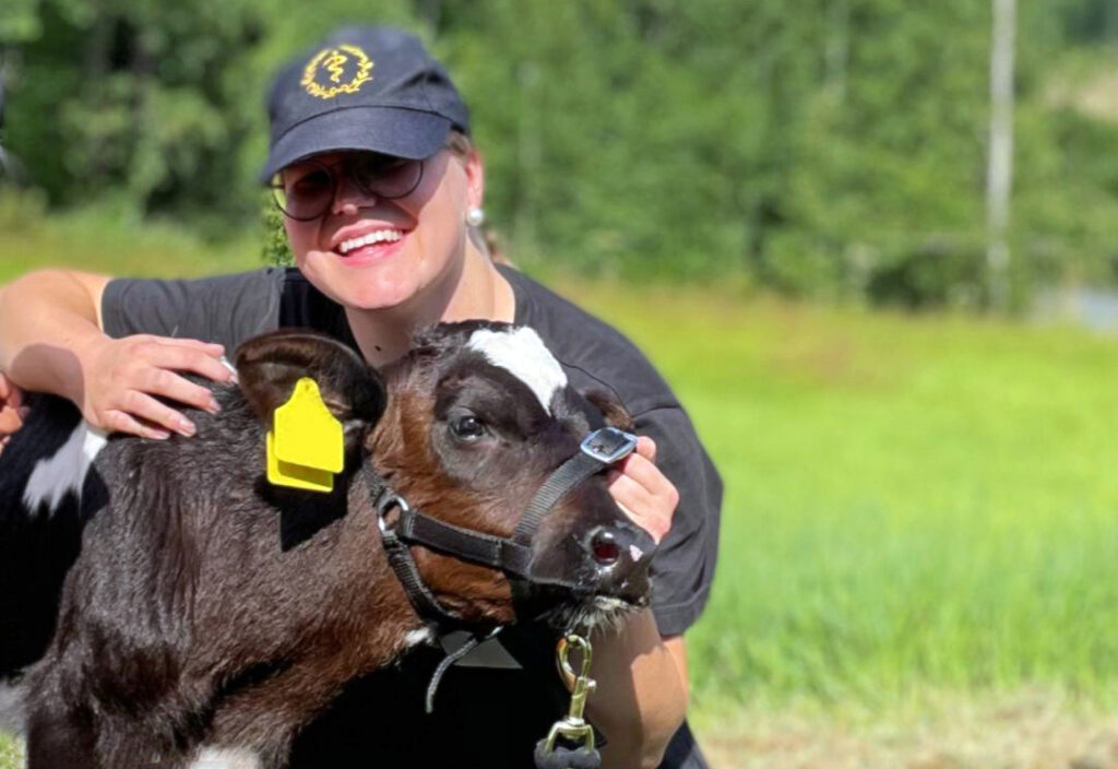 Nainen ja vasikka laitumella