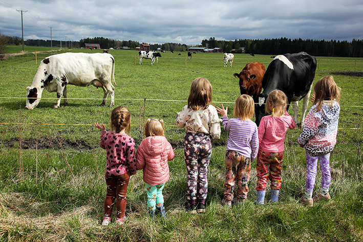 Lapsia ihailemassa lehmiä laitumella