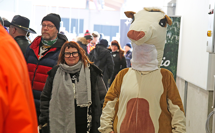 Yleisöä ja lehmäksi pukeutunut ihminen Luken navetan avajaisissa